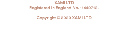 XAMI LTD Registered in England No. 11440712. Copyright © 2020 XAMI LTD 